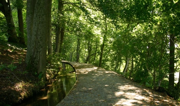 by Dietrich Krieger Wikipedia CC